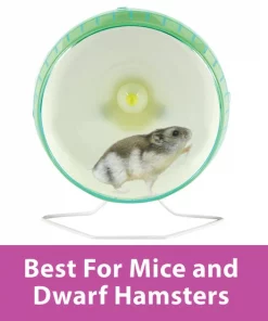 Kaytee Silent Spinner Small Animal Exercise Wheel 14 Kaytee Silent Spinner Small Animal Exercise Wheel -KAYTEE Sales Store 101439 PT5. SY630 V1629846133