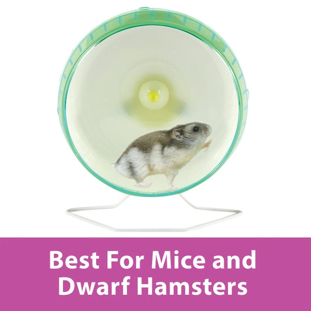 Kaytee Silent Spinner Small Animal Exercise Wheel 6 Kaytee Silent Spinner Small Animal Exercise Wheel - Image 6