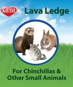 Kaytee Lava Ledge Small Animal Toy, Color Varies -KAYTEE Sales Store 101496 PT5. SY630 V1600206714