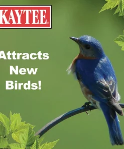 Kaytee Meal Worm Wild Bird Food -KAYTEE Sales Store 103496 PT4. SY630 V1591018130