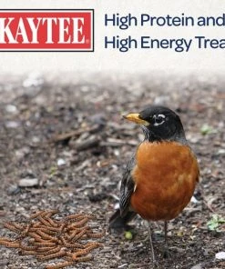 Kaytee Meal Worm Wild Bird Food -KAYTEE Sales Store 103496 PT6. SY630 V1591018141