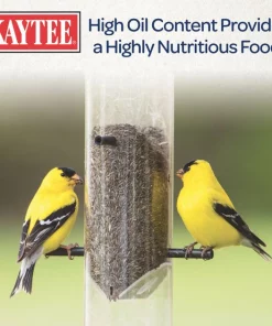 Kaytee Nyjer Wild Bird Food -KAYTEE Sales Store 154602 PT4. SY630 V1591018360