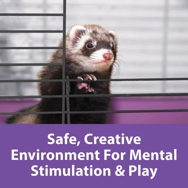 Kaytee 2x2 Multi-Level Habitat with Removable Casters Small Animal Habitat 6 Kaytee 2x2 Multi-Level Habitat with Removable Casters Small Animal Habitat - Image 6