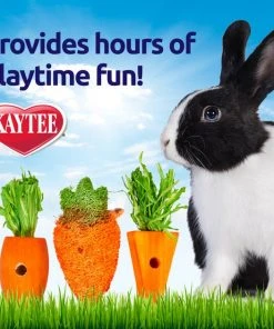 Kaytee Carrot Patch Variety Small Animal Chew Toy -KAYTEE Sales Store 154621 PT3. SY630 V1573680509
