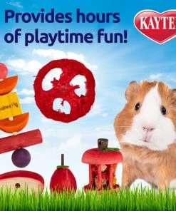 Kaytee Chew & Treat Toy Guinea Pig Assortment -KAYTEE Sales Store 162307 PT2. SY630 V1584563863