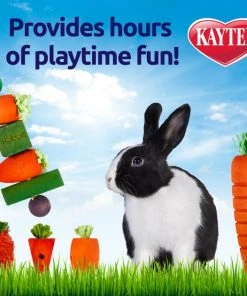 Kaytee Chew & Treat Toy Assortment for Rabbits, Toys Vary -KAYTEE Sales Store 162309 PT3. SY630 V1584563827