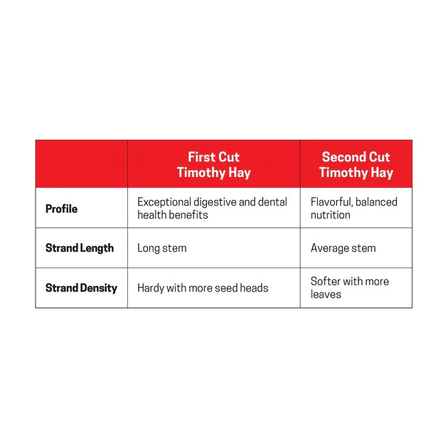 Kaytee First Cut Timothy Hay Small Animal Food 8 Kaytee First Cut Timothy Hay Small Animal Food - Image 8