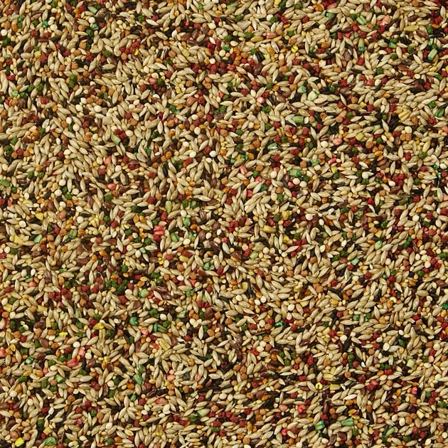 Kaytee Forti-Diet Pro Health Canary & Finch Food 3 Kaytee Forti-Diet Pro Health Canary & Finch Food - Image 3