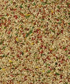 Kaytee Forti-Diet Pro Health Parakeet Food 5 Kaytee Forti-Diet Pro Health Parakeet Food -KAYTEE Sales Store 175951 PT3. SY630 V1563805324