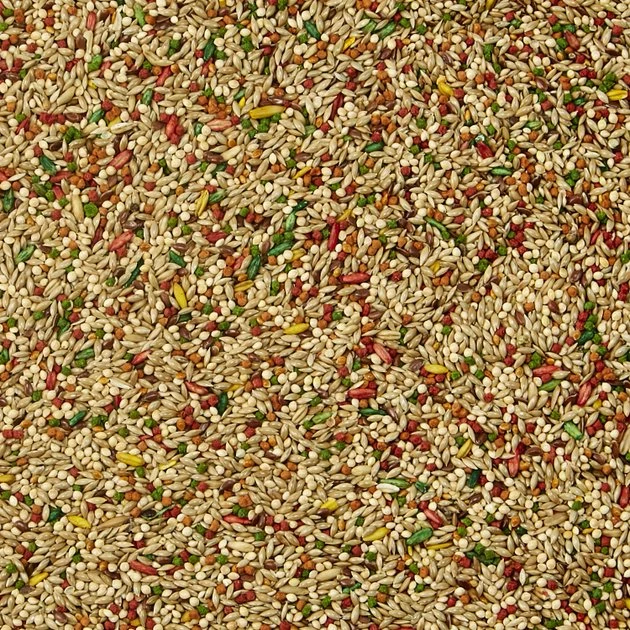 Kaytee Forti-Diet Pro Health Parakeet Food 3 Kaytee Forti-Diet Pro Health Parakeet Food - Image 3