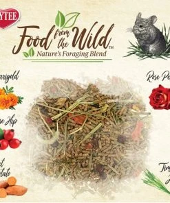 Kaytee Food From the Wild Chinchilla Food, 3-lb bag -KAYTEE Sales Store 199229 PT3. SY630 V1582583618