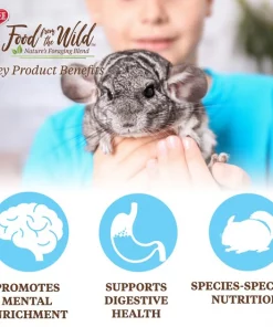 Kaytee Food From the Wild Chinchilla Food, 3-lb bag -KAYTEE Sales Store 199229 PT5. SY630 V1582583623