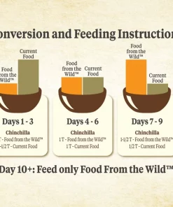 Kaytee Food From the Wild Chinchilla Food, 3-lb bag -KAYTEE Sales Store 199229 PT6. SY630 V1582583584