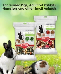 Kaytee Treat Stick with Superfoods Spinach & Kale Flavor Small Animal Treats, 5.5-oz bag -KAYTEE Sales Store 199233 PT8. SY630 V1585746406