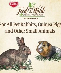 Kaytee Food From the Wild Natural Snack Rabbit Treats, 1-oz bag -KAYTEE Sales Store 199235 PT4. SY630 V1637625729