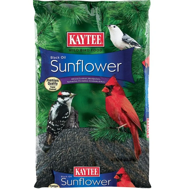 Kaytee Black Oil Sunflower Wild Bird Food, 10-lb bag 1 Kaytee Black Oil Sunflower Wild Bird Food, 10-lb bag