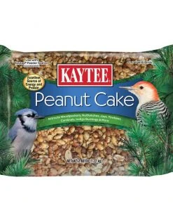 Kaytee Peanut Cake Wild Bird Food, 1 count