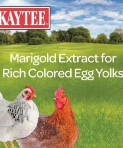 Kaytee Laying Hen Diet Chicken Feed, 25-lb bag 11 Kaytee Laying Hen Diet Chicken Feed, 25-lb bag -KAYTEE Sales Store 223330 PT2. SY630 V1616681830