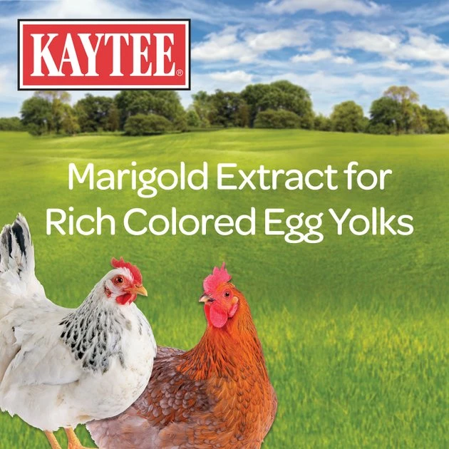 Kaytee Laying Hen Diet Chicken Feed, 25-lb bag 3 Kaytee Laying Hen Diet Chicken Feed, 25-lb bag - Image 3