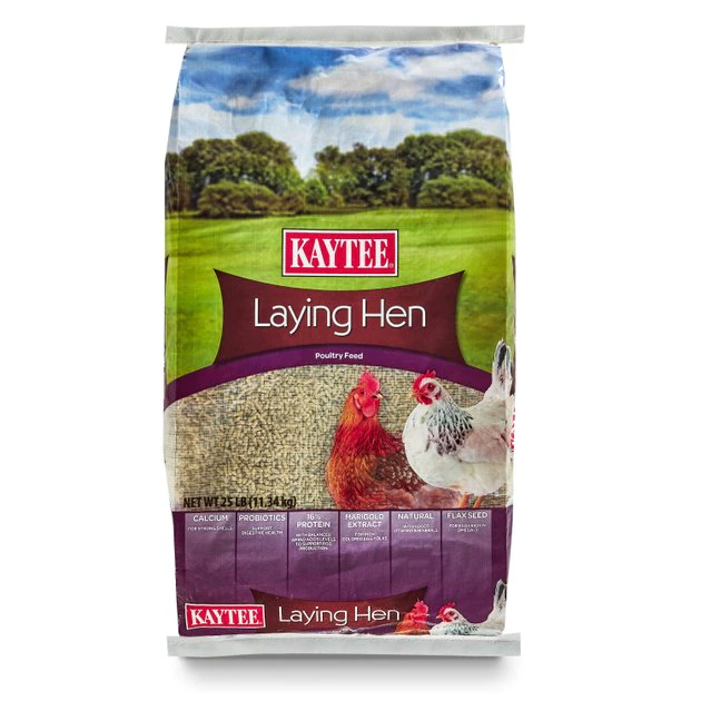 Kaytee Laying Hen Diet Chicken Feed, 25-lb bag 7 Kaytee Laying Hen Diet Chicken Feed, 25-lb bag - Image 7