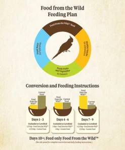 Kaytee Food from the Wild Cockatiel Bird Food, 2.5-lb bag -KAYTEE Sales Store 247995 PT8. SY630 V1597171559