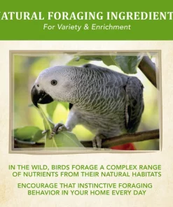 Kaytee Food from the Wild Parrot Bird Food, 2.5-lb bag -KAYTEE Sales Store 247997 PT5. SY630 V1597088488