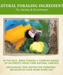 Kaytee Food from the Wild Macaw Bird Food, 2.5-lb bag -KAYTEE Sales Store 247999 PT5. SY630 V1597088554