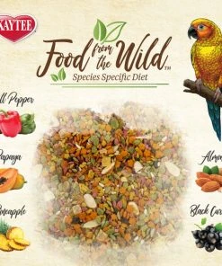 Kaytee Food from the Wild Conure Bird Food, 2.5-lb bag 15 Kaytee Food from the Wild Conure Bird Food, 2.5-lb bag -KAYTEE Sales Store 248001 PT6. SY630 V1610757066