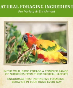 Kaytee Food from the Wild Conure Bird Food, 2.5-lb bag 16 Kaytee Food from the Wild Conure Bird Food, 2.5-lb bag -KAYTEE Sales Store 248001 PT7. SY630 V1610763699