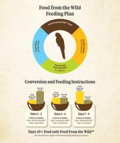 Kaytee Food from the Wild Conure Bird Food, 2.5-lb bag 17 Kaytee Food from the Wild Conure Bird Food, 2.5-lb bag -KAYTEE Sales Store 248001 PT8. SY630 V1610759565