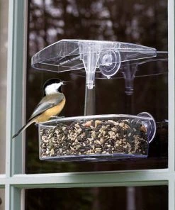 Droll Yankees||Kaytee Droll Yankees Observer Window Bird Feeder, 7-in & Kaytee Basic Blend Wild Bird Food, 20-lb bag -KAYTEE Sales Store 255437 PT2. SY630 V1602707472