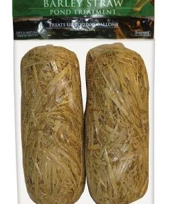 Kaytee||Summit Kaytee Koi's Choice Premium Fish Food, 25-lb bag & Summit Clear-Water Barley Straw Pond Treatment -KAYTEE Sales Store 255655 PT3. SY630 V1604081324