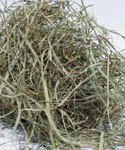 Sweet Meadow Farm||Kaytee Sweet Meadow Farm Timothy Hay Small Pet Food, 9-lb box & Kaytee Perfect Chews Rabbit Toy, 6.5-in -KAYTEE Sales Store 255885 PT2. SY630 V1604350943