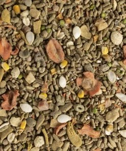 Kaytee Fiesta Natural Guinea Pig Food, 4.5-lb bag -KAYTEE Sales Store 261962 PT3. SY630 V1623682076