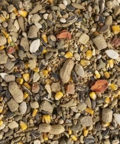 Kaytee Fiesta Natural Mouse & Rat Food, 4.5-lb bag -KAYTEE Sales Store 261964 PT2. SY630 V1623682122