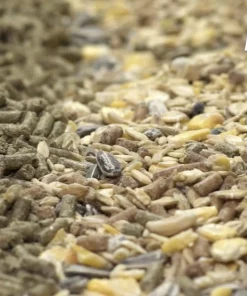 Kaytee Fiesta Natural Mouse & Rat Food, 4.5-lb bag -KAYTEE Sales Store 261964 PT6. SY630 V1623682396