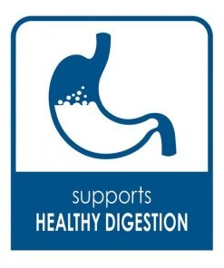 Kaytee Fiesta Natural Chinchilla Food, 2.5-lb bag -KAYTEE Sales Store 261972 PT5. SY630 V1623682677