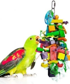 Kaytee||SunGrow Kaytee Supreme Parakeet Food + Sungrow Parrot Chew Toy, Foraging Blocks, Rainbow Wood 9 Kaytee||SunGrow Kaytee Supreme Parakeet Food + Sungrow Parrot Chew Toy, Foraging Blocks, Rainbow Wood -KAYTEE Sales Store 302000 PT3. SY630 V1622816558