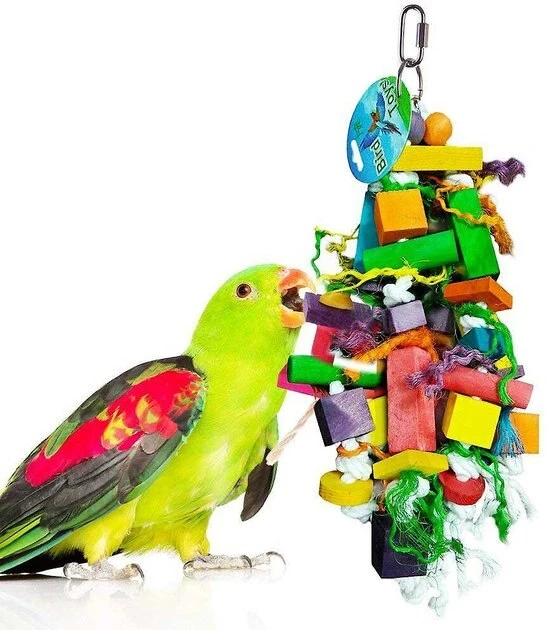 Kaytee||SunGrow Kaytee Supreme Parakeet Food + Sungrow Parrot Chew Toy, Foraging Blocks, Rainbow Wood 4 Kaytee||SunGrow Kaytee Supreme Parakeet Food + Sungrow Parrot Chew Toy, Foraging Blocks, Rainbow Wood - Image 4