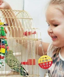 Kaytee||SunGrow Kaytee Supreme Parakeet Food + Sungrow Parrot Chew Toy, Foraging Blocks, Rainbow Wood 10 Kaytee||SunGrow Kaytee Supreme Parakeet Food + Sungrow Parrot Chew Toy, Foraging Blocks, Rainbow Wood -KAYTEE Sales Store 302000 PT4. SY630 V1622816543