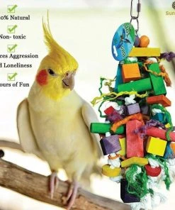 Kaytee||SunGrow Kaytee Supreme Parakeet Food + Sungrow Parrot Chew Toy, Foraging Blocks, Rainbow Wood 11 Kaytee||SunGrow Kaytee Supreme Parakeet Food + Sungrow Parrot Chew Toy, Foraging Blocks, Rainbow Wood -KAYTEE Sales Store 302000 PT5. SY630 V1622816544