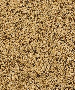 Kaytee Supreme Canary & Finch Food 9 Kaytee Supreme Canary & Finch Food -KAYTEE Sales Store 337395 PT2. SY630 V1634325992