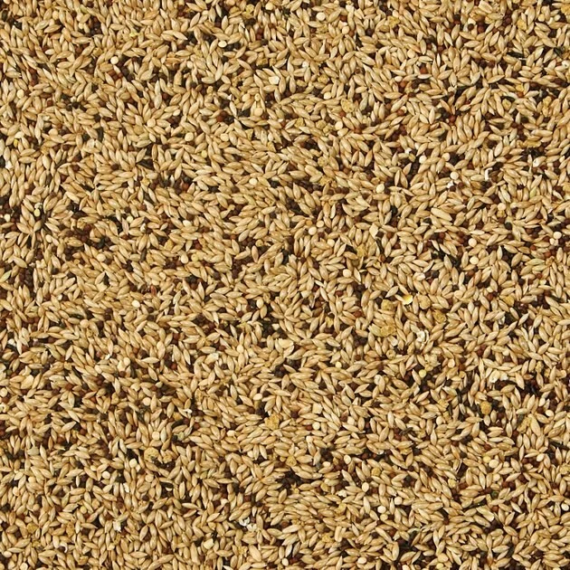 Kaytee Supreme Canary & Finch Food 3 Kaytee Supreme Canary & Finch Food - Image 3