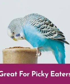 Kaytee NutriSoft Parakeet & Cockatiel Bird Food, 2-lbs -KAYTEE Sales Store 357102 PT2. SY630 V1657657126