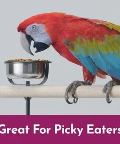 Kaytee NutriSoft Macaw & Cockatoo Bird Food, 3-lbs -KAYTEE Sales Store 357106 PT2. SY630 V1657657126