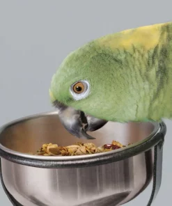 Kaytee Food from the Wild Medley Med & Large Pet Bird Treats, 3-oz bag 8 Kaytee Food from the Wild Medley Med & Large Pet Bird Treats, 3-oz bag -KAYTEE Sales Store 368873 PT2. SY630 V1644919950