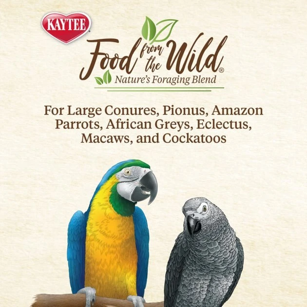 Kaytee Food from the Wild Medley Med & Large Pet Bird Treats, 3-oz bag 6 Kaytee Food from the Wild Medley Med & Large Pet Bird Treats, 3-oz bag - Image 6