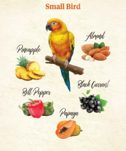 Kaytee Food from the Wild Medley Small Pet Bird Treats, 3-oz bag 9 Kaytee Food from the Wild Medley Small Pet Bird Treats, 3-oz bag -KAYTEE Sales Store 368875 PT3. SY630 V1644917801