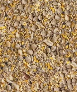 Kaytee Seed & Suet No Mess Peanut Wild Bird Food, 10-lb bag -KAYTEE Sales Store 370030 PT3. SY630 V1646279531