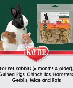 Kaytee Timothy Baked Biscuits Small Pet Treat 7 Kaytee Timothy Baked Biscuits Small Pet Treat -KAYTEE Sales Store 538030 PT2. SY630 V1657658874